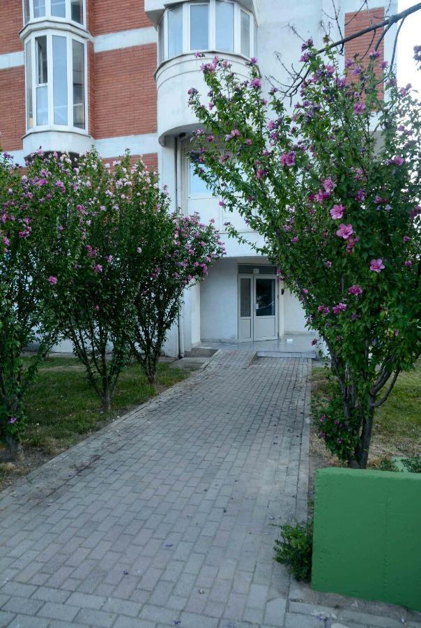 Central Lakeside Apartment Ohrid Exterior photo